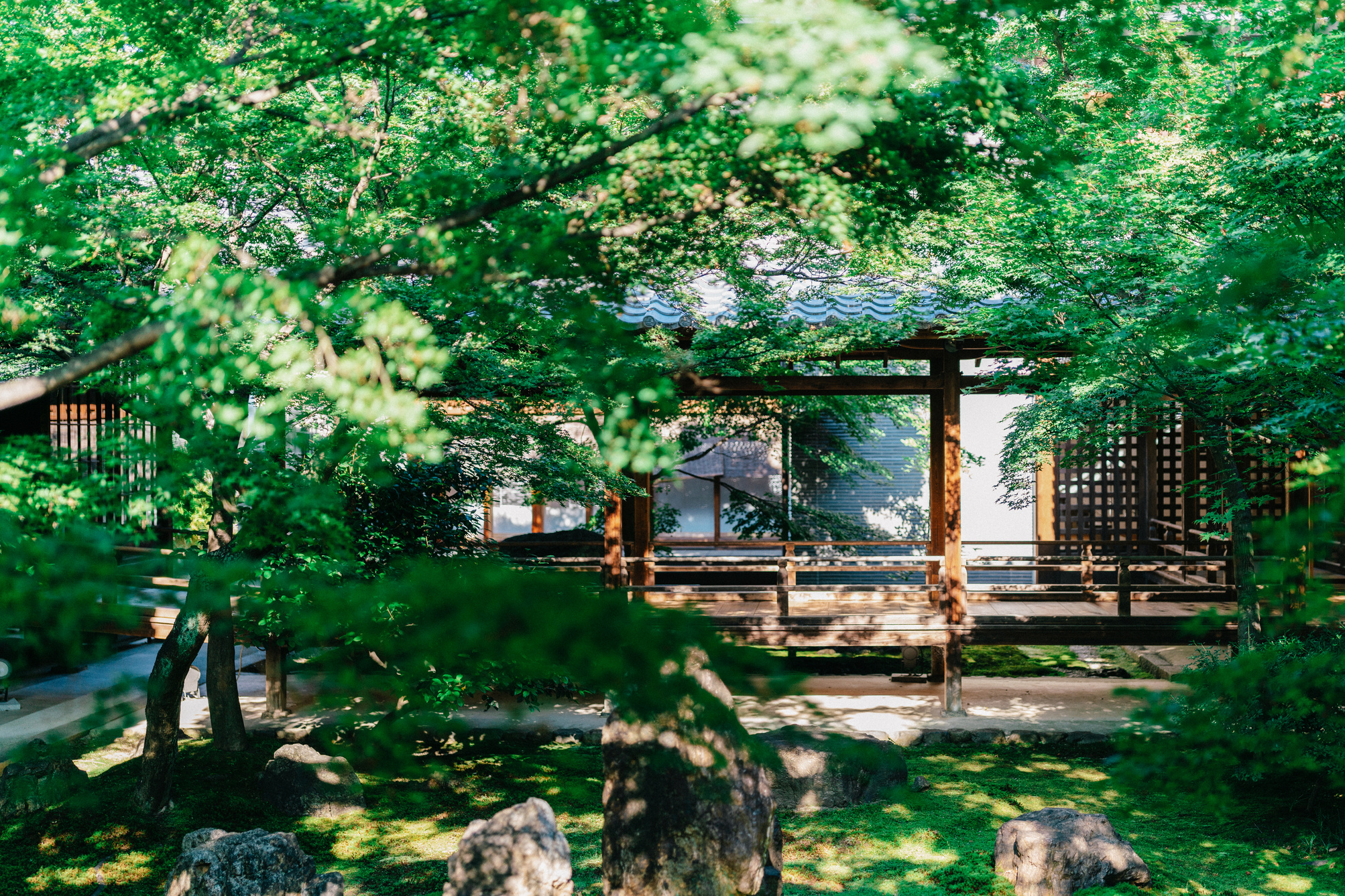 Japanese Traditional Garden and Wooden Corridor